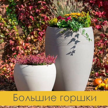 Большие горшки для растений
